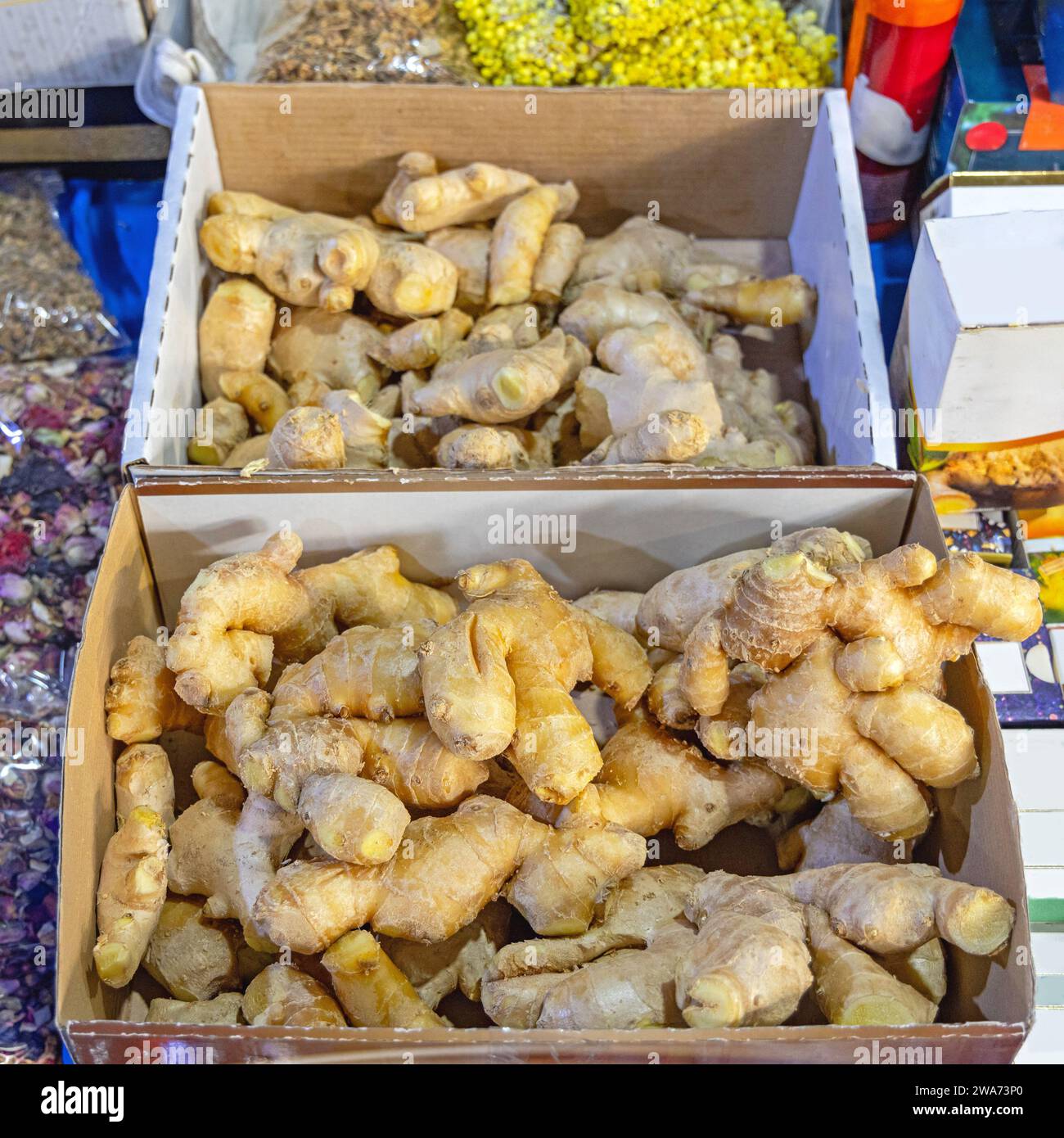 Ein großer Haufen Ingwerwurzel-Gewürz auf dem Boxen Farmers Market Stockfoto