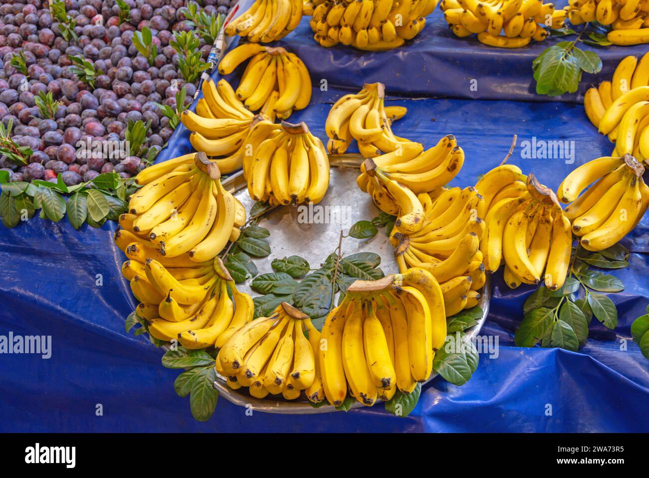 Große Bananen tropische Früchte auf dem Farmers Market Turkey Stockfoto