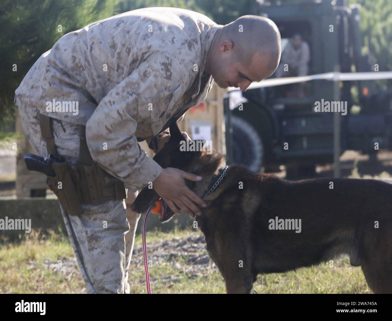 US-Streitkräfte. 151026AW179-221 DOGANBEY, Türkei (26. Oktober 2015) – Josue E. Robles, ein militärischer Arbeitshundeführer bei der 26. Marine Expeditionary Unit (MEU), streichelt einen Kampfhund mit der MEU. während der Demonstration militärischer Arbeitshunde für türkische Marines und Seeleute während der Übung Egemen am 26. Oktober 2015. Egemen ist eine von der Türkei geführte und veranstaltete amphibische Übung, die dazu dient, taktische Fähigkeiten und Interoperabilität zwischen den Teilnehmern zu verbessern. (U.S. Marine Corps Foto von CPL. Joshua W. Brown/veröffentlicht) Stockfoto