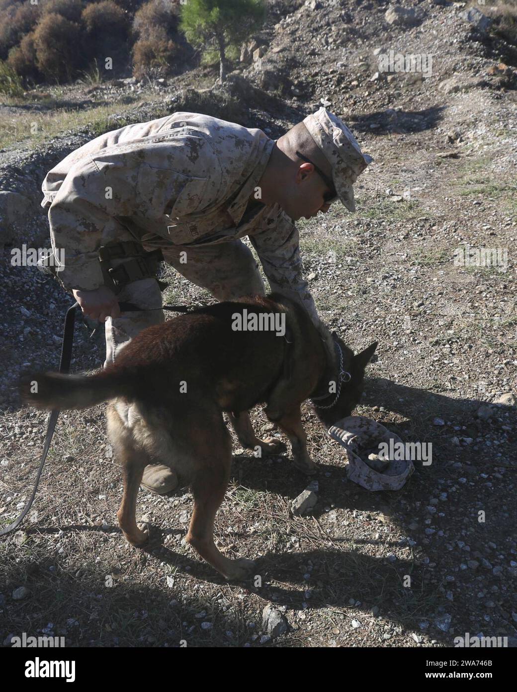 US-Streitkräfte. 151026AW179-371 DOGANBEY, Türkei (26. Oktober 2015) – Josue E. Robles, ein militärischer Arbeitshundeführer bei der 26. Marine Expeditionary Unit (MEU), bietet einen Kampfhund mit der MEU mit einem duftenden artikel während einer militärischen Arbeitshunde-Demonstration für türkische Marines und Seeleute während der Übung Egemen 26. Oktober 2015. Egemen ist eine von der Türkei geführte und veranstaltete amphibische Übung, die dazu dient, taktische Fähigkeiten und Interoperabilität zwischen den Teilnehmern zu verbessern. (U.S. Marine Corps Foto von CPL. Joshua W. Brown/veröffentlicht) Stockfoto