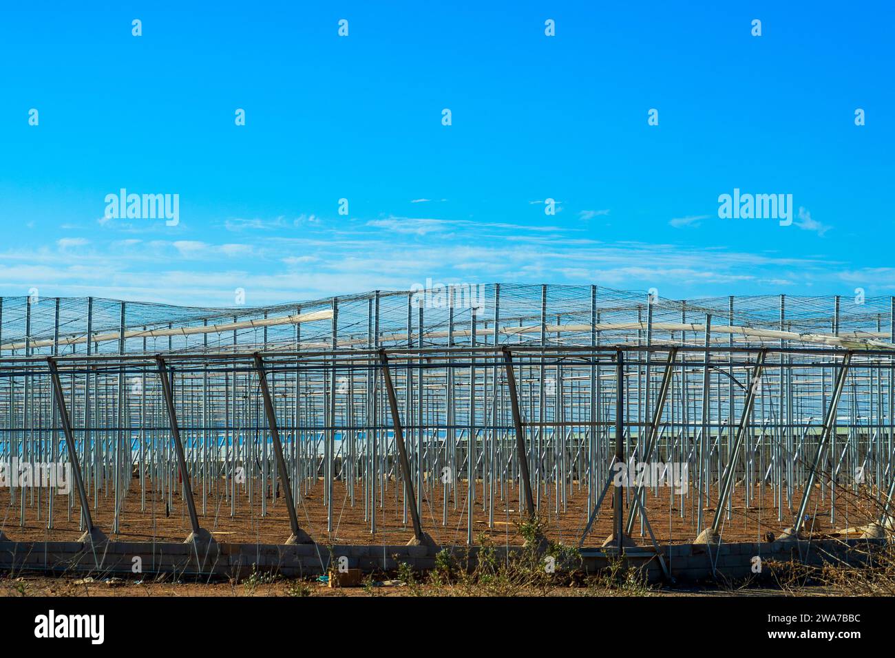 Metallkonstruktionen für Gemüsegewächshäuser an der Küste von Almeria Stockfoto