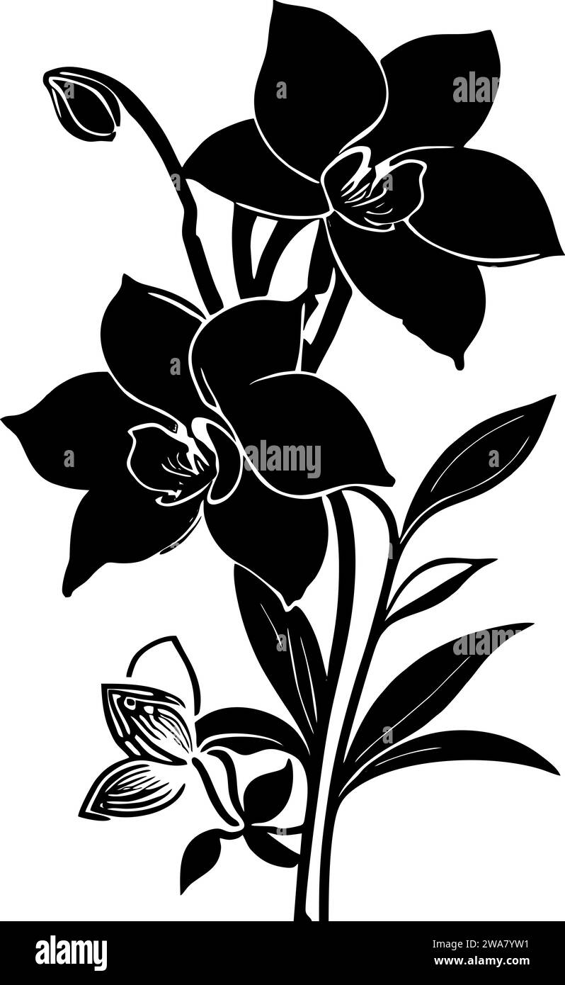Einfache schwarze Umrisszeichnung Silhouette einer Orchideenblume, Design Stockfoto