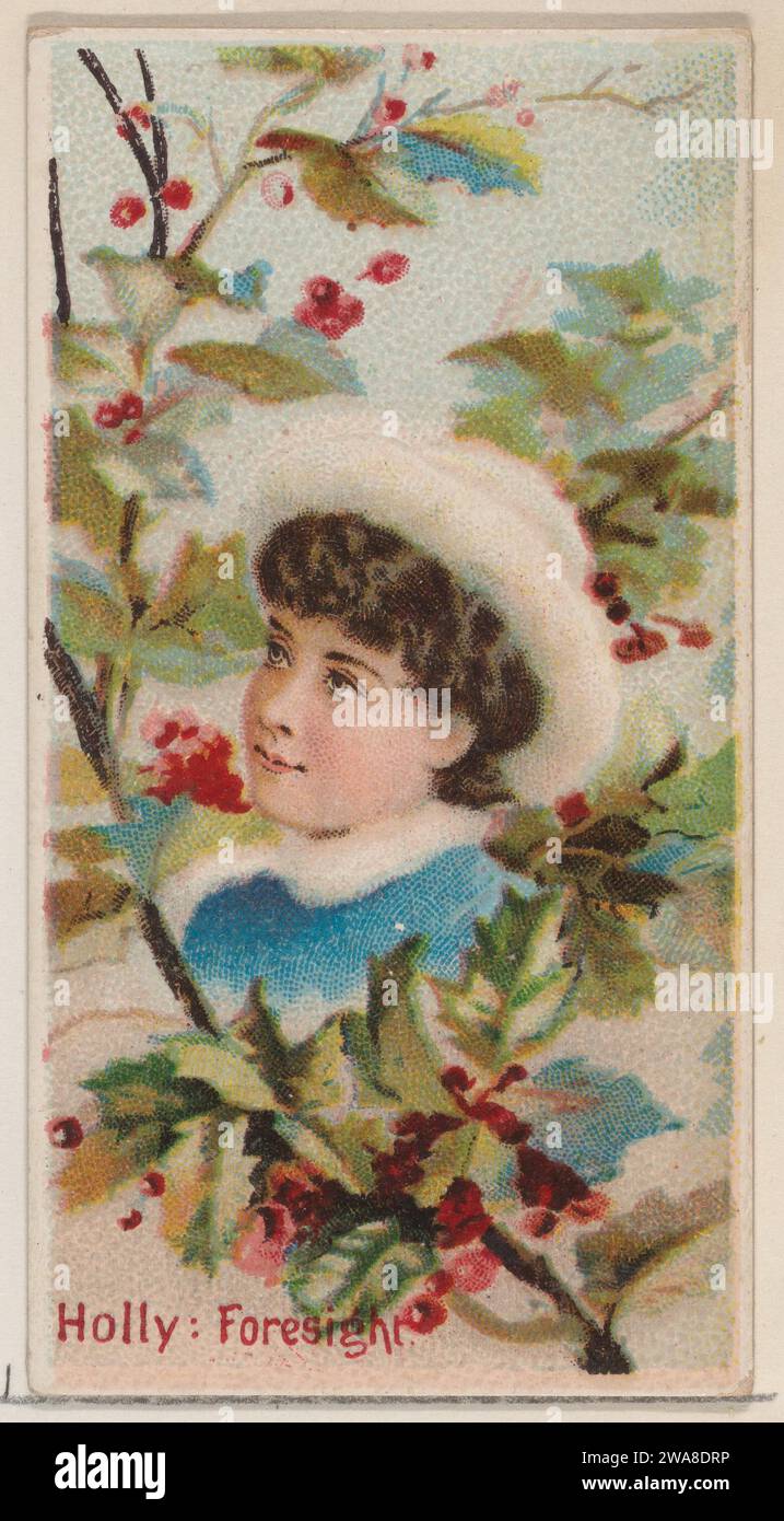 Holly: Foresight, aus der Serie Floral Beauties and Language of Flowers (N75) für Duke Brand Cigarettes 1963 von Donaldson Brothers Stockfoto