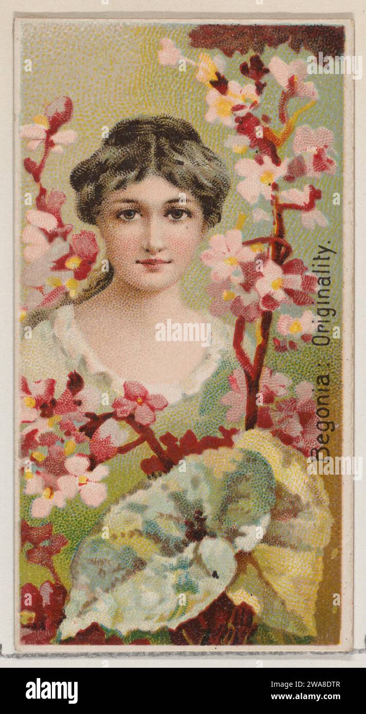 Begonia: Originality, aus der Serie Floral Beauties and Language of Flowers (N75) für Duke Brand Cigarettes 1963 von Donaldson Brothers Stockfoto