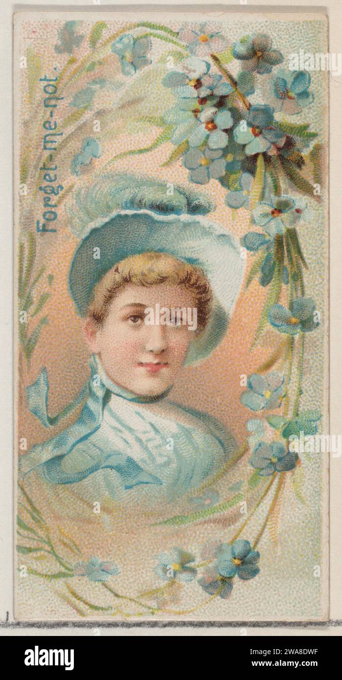 Forget-Me-Not aus der Serie Floral Beauties and Language of Flowers (N75) für Duke Brand Cigarettes 1963 von Donaldson Brothers Stockfoto