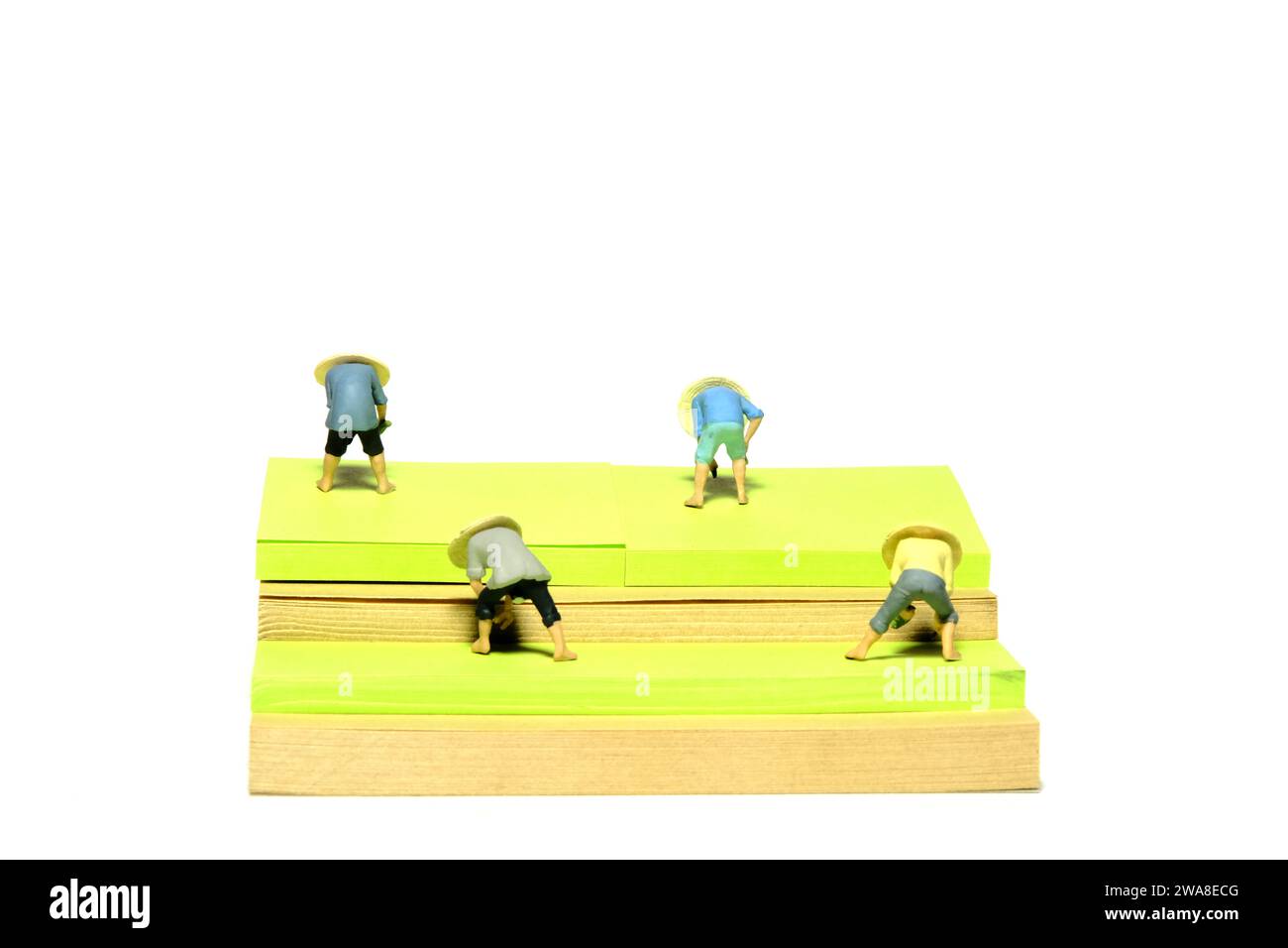 Kreative Miniaturmenschen spielzeugfiguren fotografieren. Installation von Haftnotizen. Gruppe von Landwirten erntet und pflanzt auf dem Feld. Isoliert auf weißem bac Stockfoto