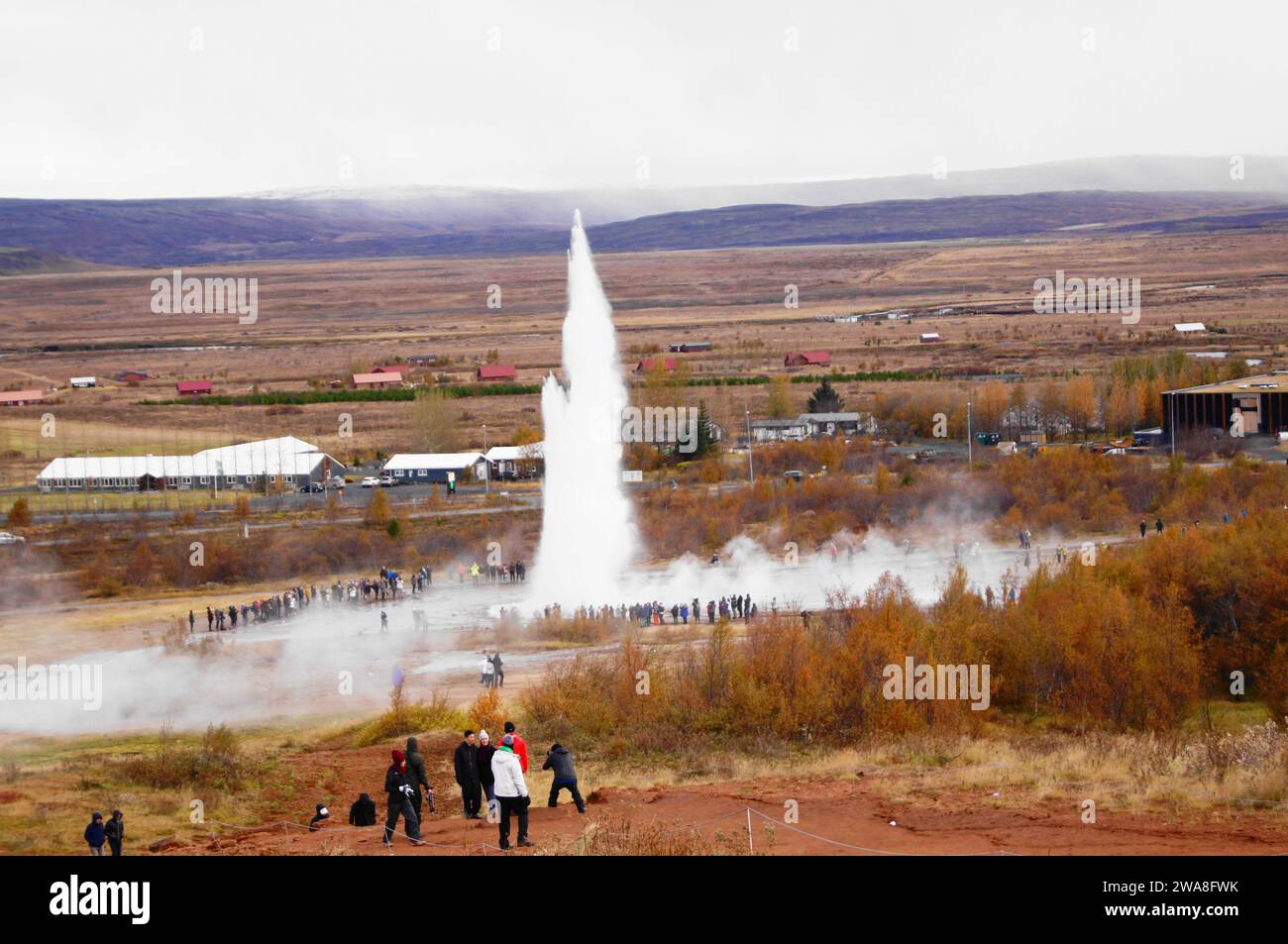 Strokkur - ein Geysir vom Typ Springbrunnen, der im Geothermiegebiet Haukadalur in Island ausbricht Stockfoto