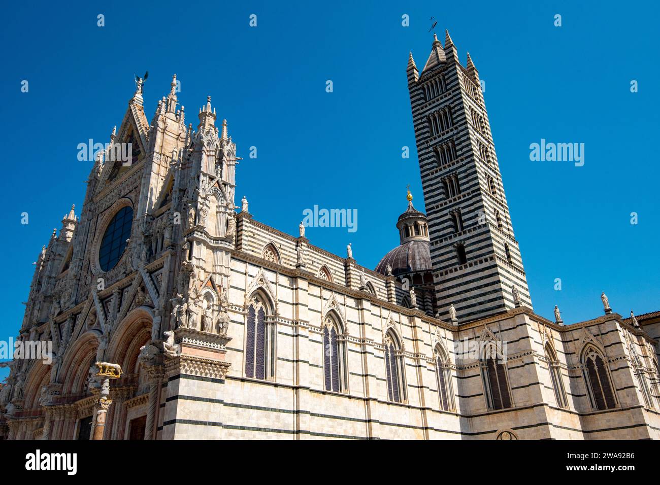 Kathedrale von Siena - Italien Stockfoto