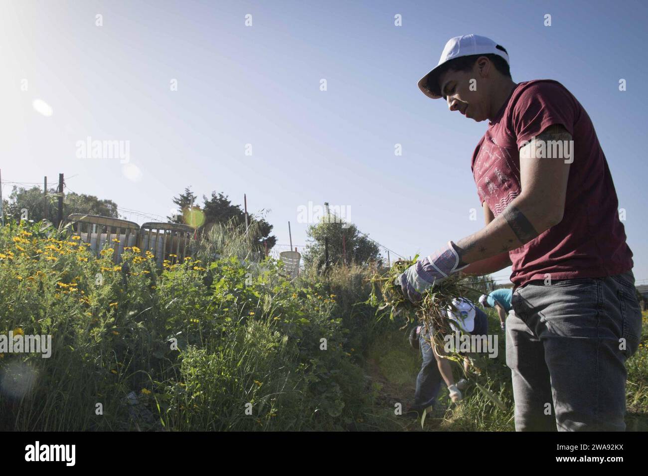 US-Streitkräfte. 180326KP946-018 HAIFA, Israel (26. März 2018) der Logistikspezialist Gabriel Flores aus Atwater, Kalifornien, hat am 26. März 2018 den Arleigh-Burke-Klasse-Raketenzerstörer USS Donald Cook (DDG 75), Unkraut im arabisch-jüdischen Gemeindegarten in Haifa, Israel, zugewiesen. Donald Cook, der nach Rota in Spanien entsandt wurde, ist auf seiner siebten Patrouille im Gebiet der 6. US-Flotte, um regionale Verbündete und Partner sowie nationale Sicherheitsinteressen der USA in Europa und Afrika zu unterstützen. (Foto der U.S. Navy von Mass Communication Specialist 2nd Class Alyssa Weeks / veröffentlicht) Stockfoto