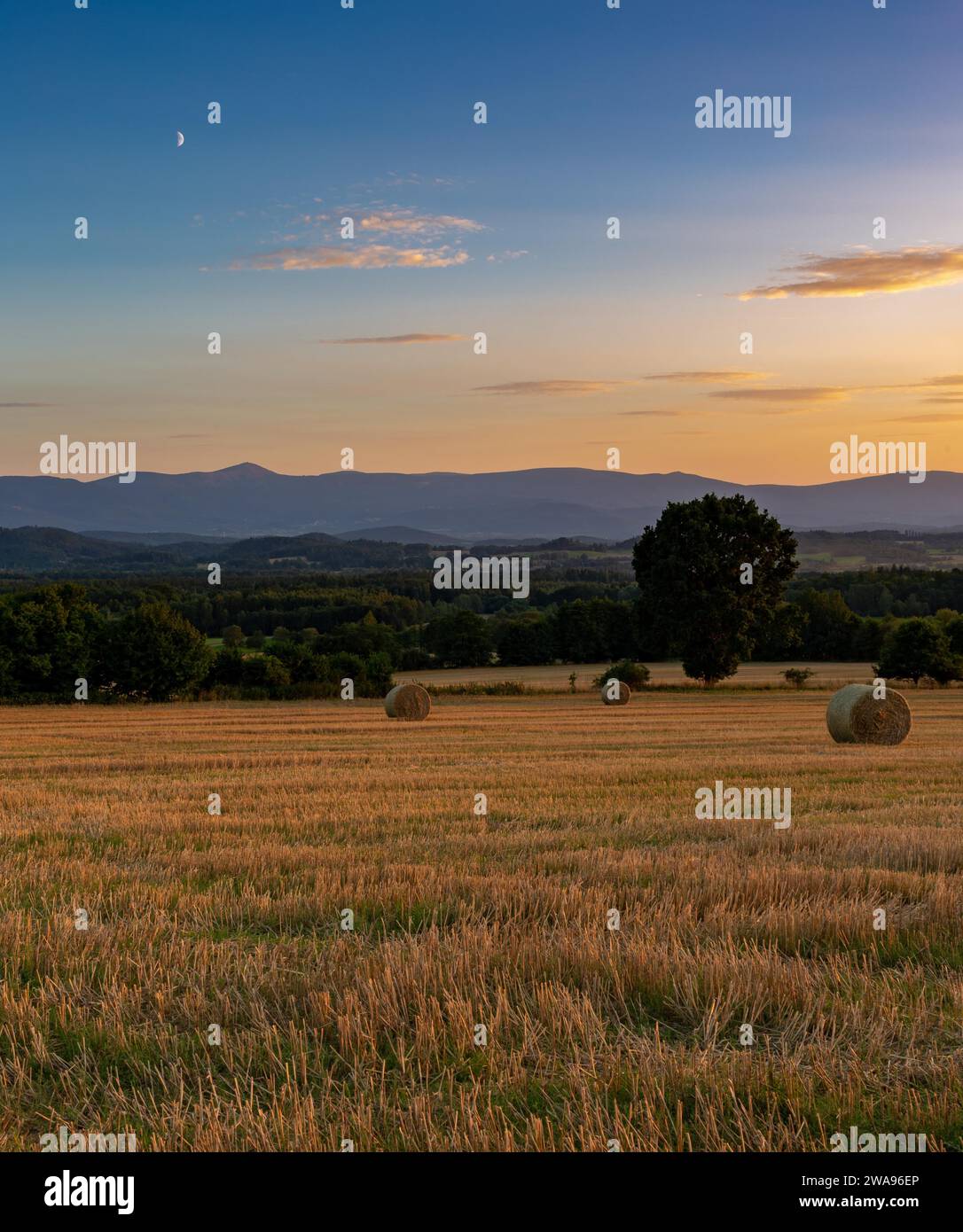 Blick auf Stoppeln und Strohballen am frühen Abend. Im Hintergrund das Karkonosse-Gebirge. Radomierz, Polen, Europa Stockfoto