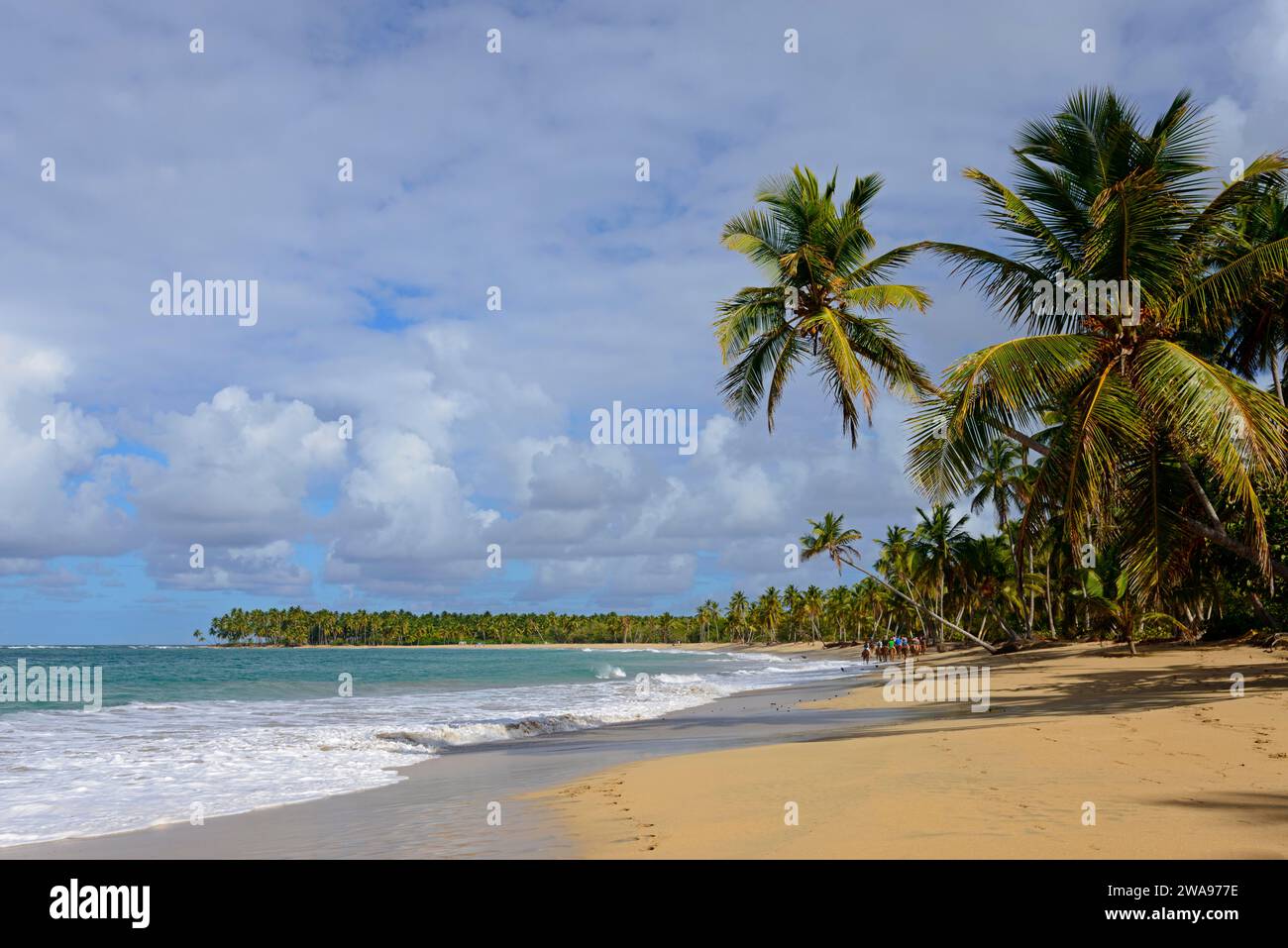 Ein einsamer Strand mit Kokospalmen unter einem leicht bewölkten Himmel in der Nähe eines ruhigen Meeres, Strand von Limon, El Limón, El Seibo, Dominikanische Republik, Hispaniola, Karibik Stockfoto