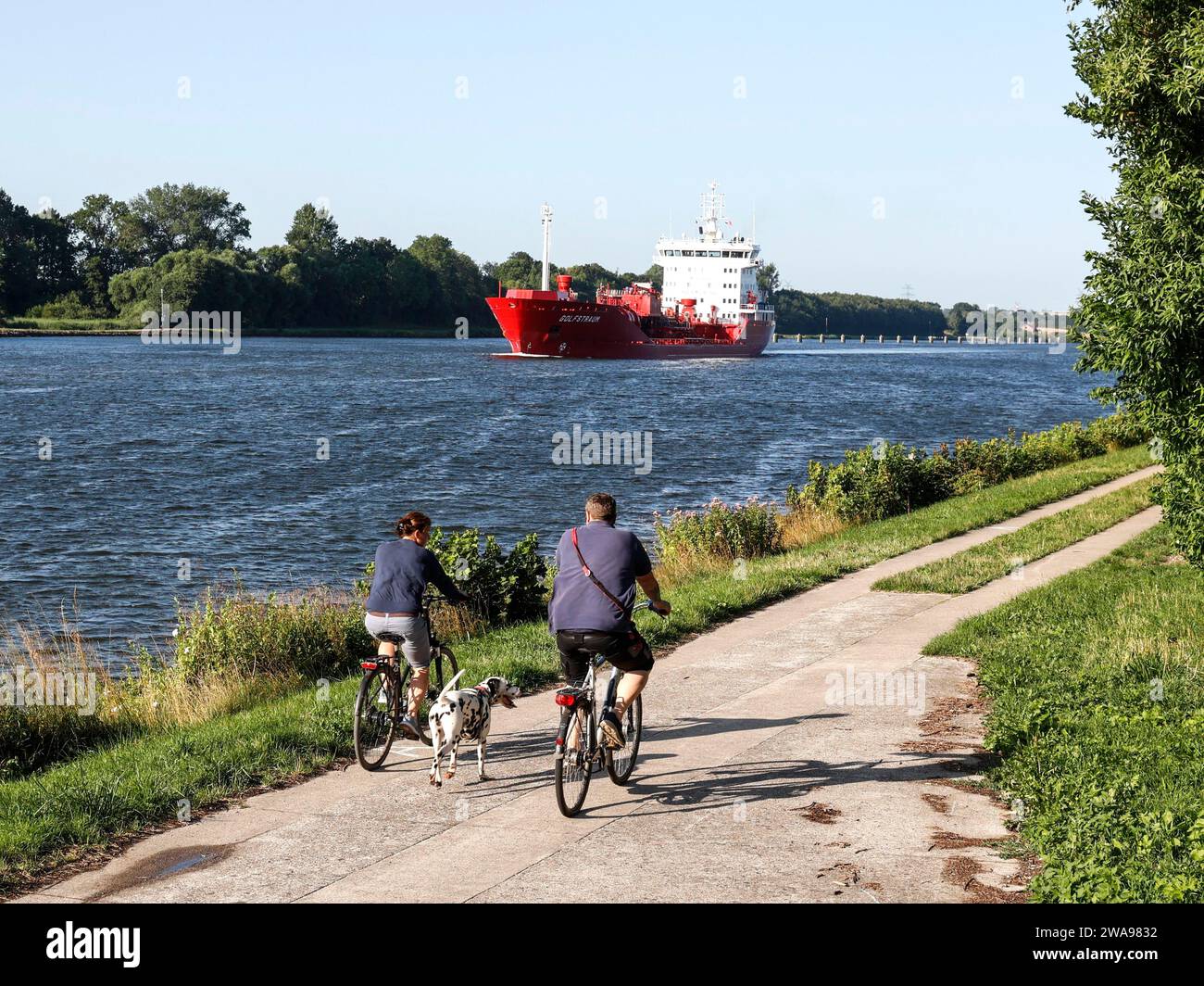 Der Chemieöltanker Golfstraum segelt auf dem Kieler Kanal, Radfahrer mit Hund auf Radweg entlang des Kanals, Rendsburg, 16. Juli 2023 Stockfoto