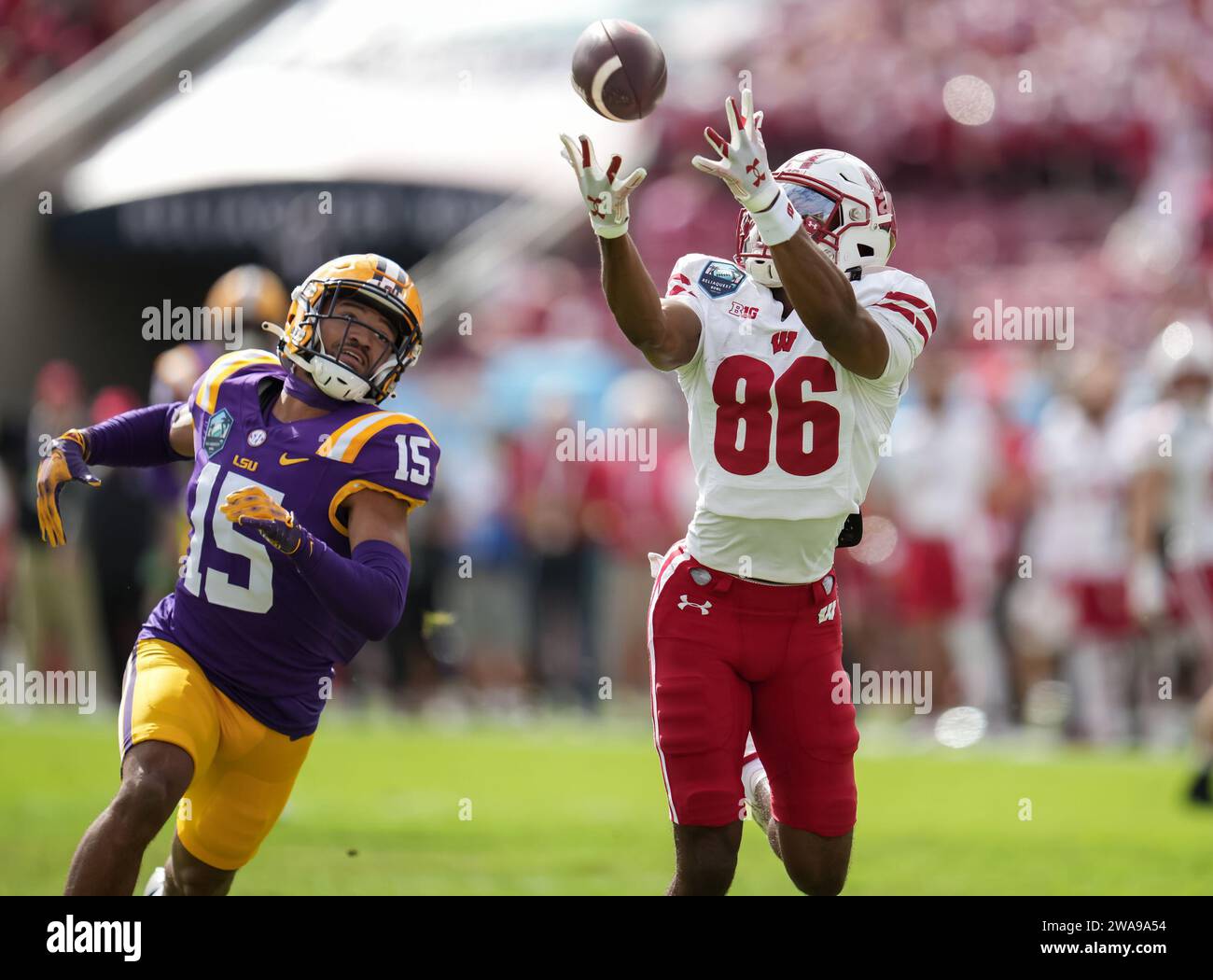 Wisconsin Badgers Wide Receiver Vinny Anthony II (86) setzt sich am Montag, den 1. Januar 2024 im Raymond James Stadium, Tampa, Florida, im ReliaQuest Bowl zwischen Wisconsin und LSU um den Fang. LSU schlägt Wisconsin 35-31 (David Venezia / Bild des Sports) Stockfoto