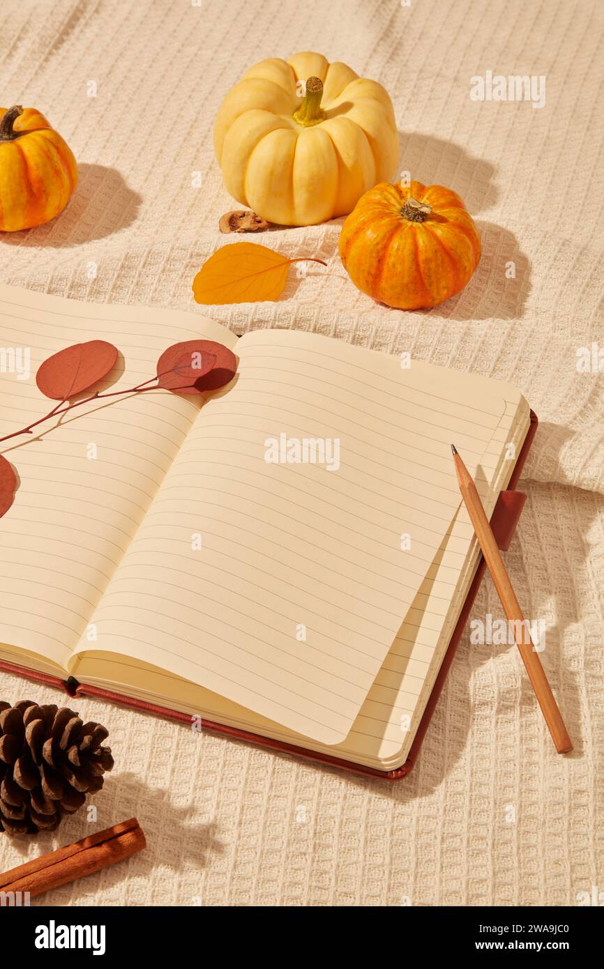 Leeres Notizbuch mit Bleistift, ein paar Kürbissen, Tannenzapfen und Zimtstab verziert. Modelldesign auf dem Notebook. Thanksgiving ist ein wichtiger Tag Stockfoto