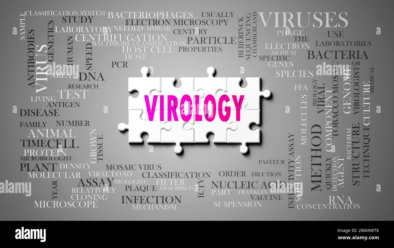 Virologie - ein komplexes Thema, das mit vielen Begriffen zusammenhängt. Dargestellt als Puzzle und Wortwolke aus den wichtigsten Ideen und Phrasen im Zusammenhang mit viro Stockfoto