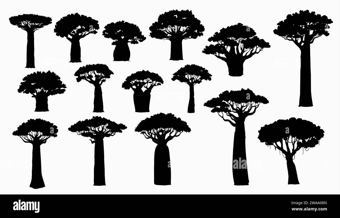 Afrikanische Baobab-Baumsilhouetten. Afrikanischer Kontinent und Madagaskar Insel Natursymbol, Savannenflora. Hohe und hohe Baobab-Bäume mit dicken und dünnen Stämmen, überdachte Lianen isolierte Vektorsilhouette Stock Vektor