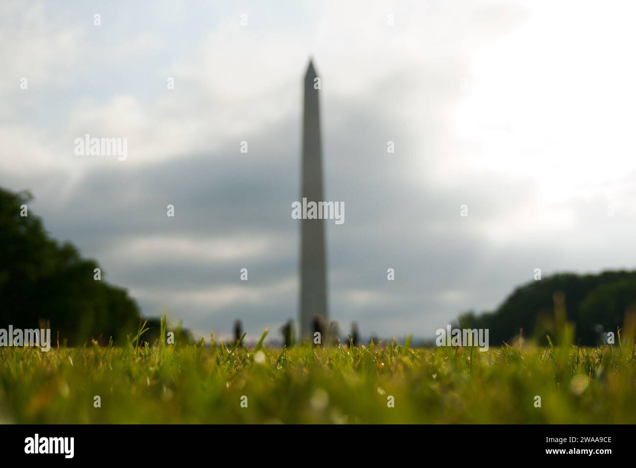 Das Washington Monument erhebt sich ätherisch durch einen weichen Morgennebel, ein ruhiger grüner Vordergrund bietet eine einzigartige Perspektive auf dieses historische Obeli Stockfoto