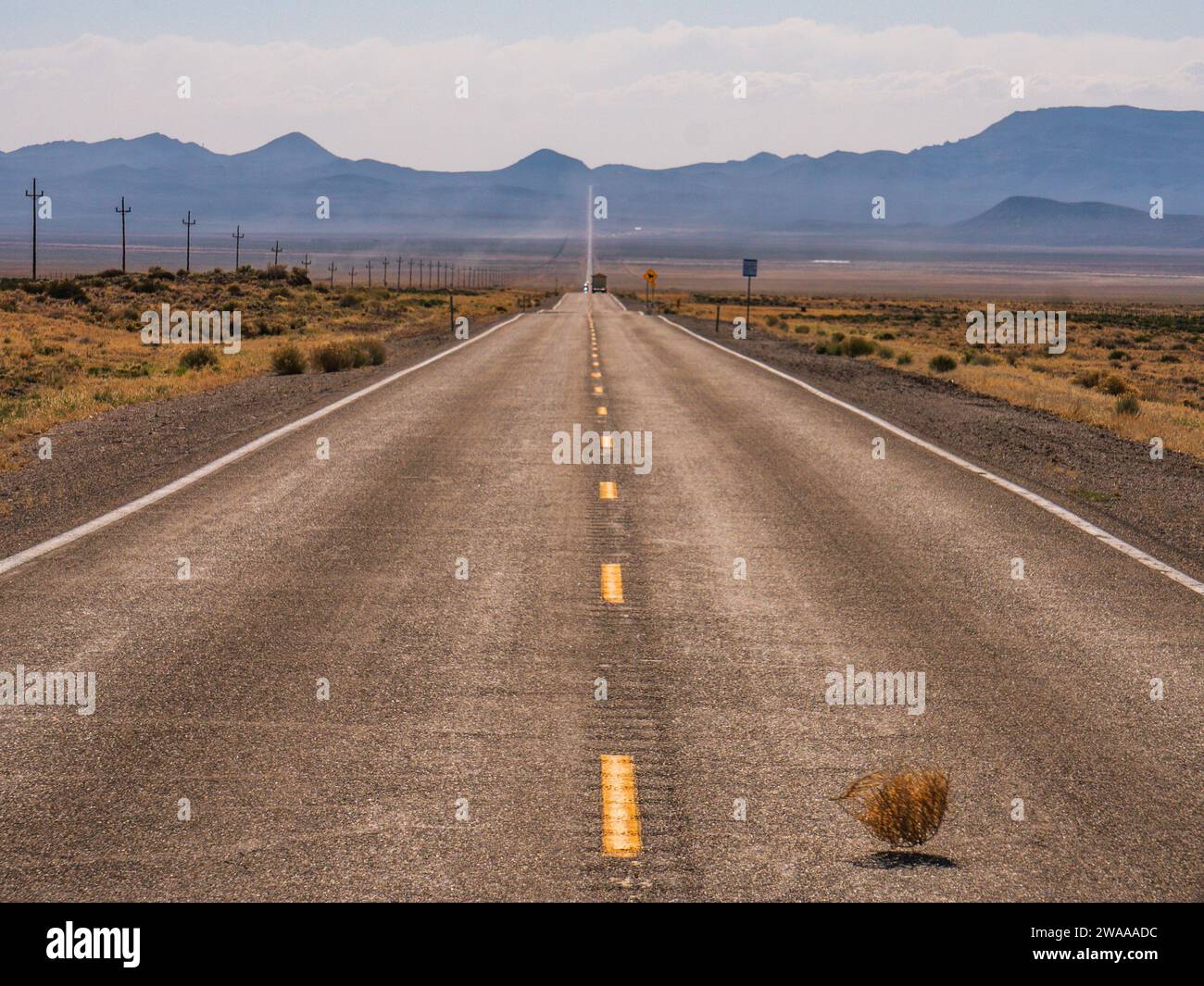 Stürzender Trommelgras auf einer einsamen Straße im Südwesten der USA, trockene, trockene Wüstenlandschaft und helles Licht. Road 375 in der Nähe von Rachel, Nevada, in der Nähe von Area 51 Stockfoto