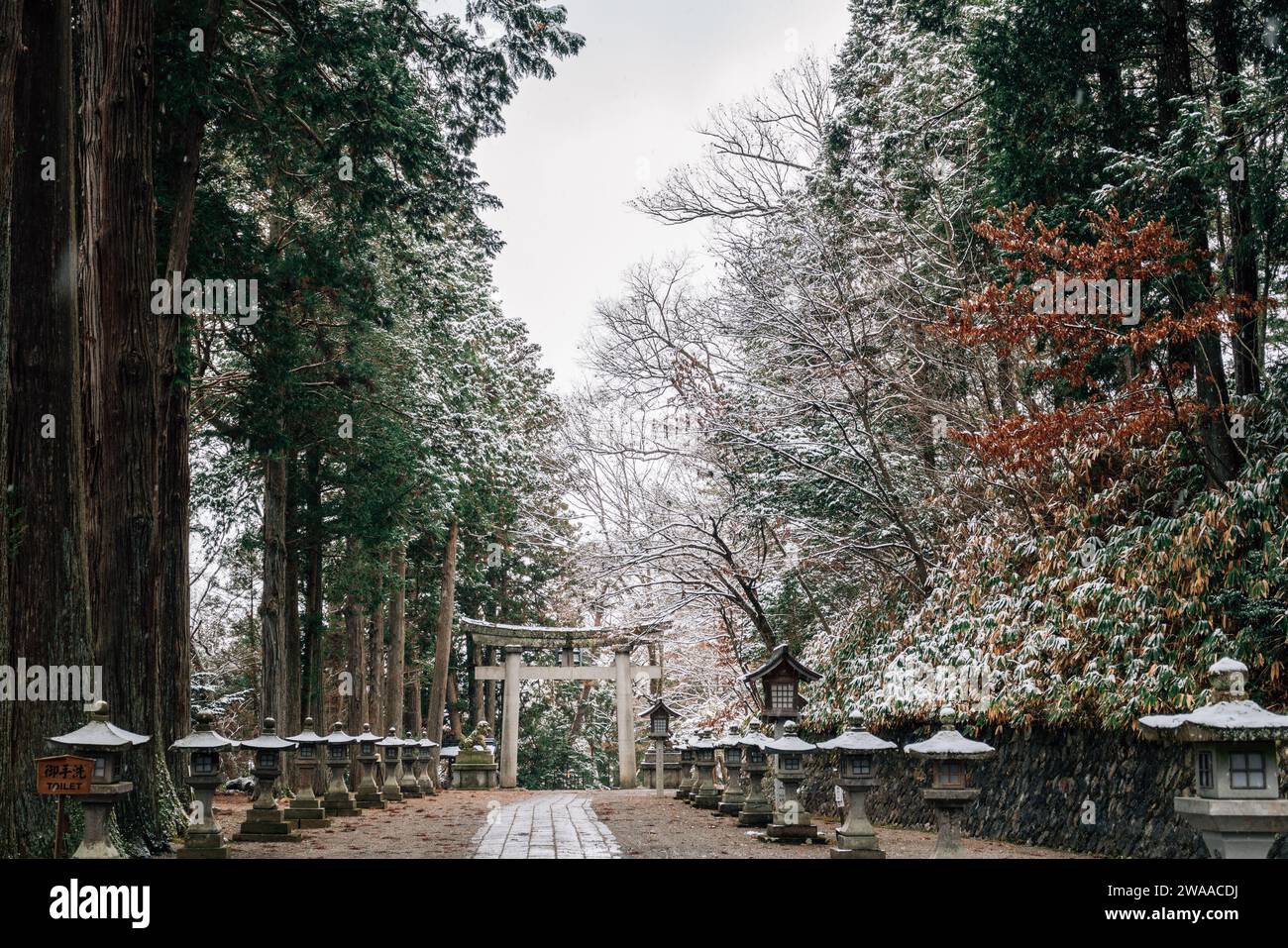 HIE-Schrein und Wald mit Winterschnee in Takayama, Gifu, Japan Stockfoto