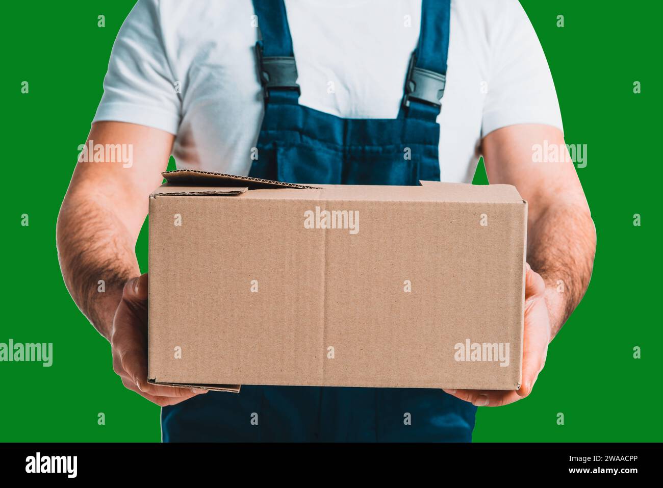 Der junge Liefermann hält einen Karton in den Händen mit dem Green Screen Chroma Key Ultra Key Stockfoto