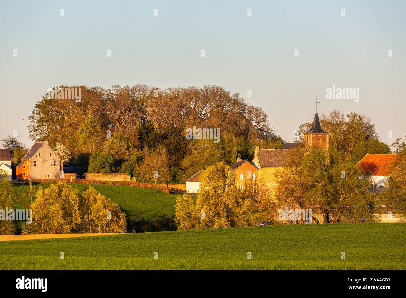 Licht eines späten Frühlingnachmittags auf einer Landlandschaft Stockfoto
