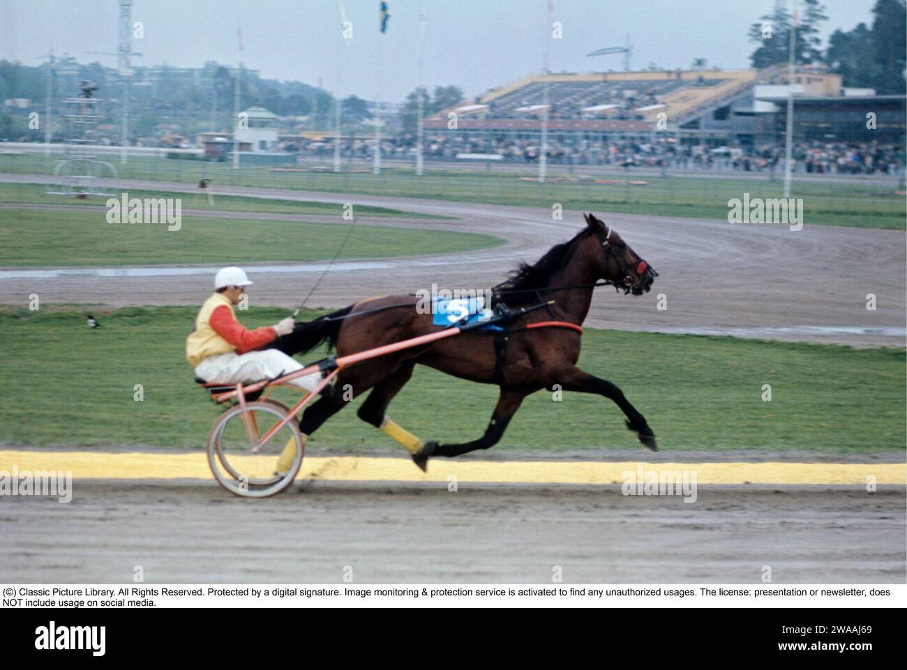 Olle Elfstrand. Schwedischer Trab-Trainer und Jockey. Während seiner Karriere gelang es ihm, über 2000 Rennen als Jockey zu gewinnen. Hier im Trottel mit dem Traberpferd Lyon, das er für den Großteil seiner Rennkarriere trainierte. Lyon wurde dreimal zum Pferd des Jahres gewählt und war das erste in Schweden geborene Trabpferd, das eine Million schwedischer Kronen an Preisgeld gewann. 1972 Ref. BV9 Stockfoto