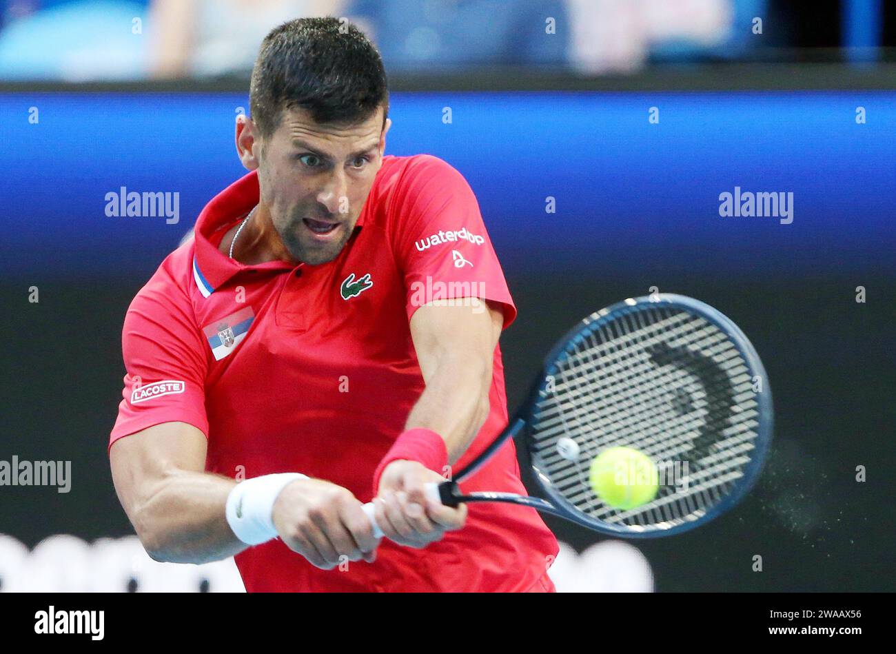 Perth, Australien. Januar 2024. Novak Djokovic aus Serbien kehrt den Ball an Alex de Minaur aus Australien zurück, während des Viertelfinales zwischen Australien und Serbien beim United Cup 2024 in Perth, Australien, am 3. Januar 2024. Quelle: Zhou Dan/Xinhua/Alamy Live News Stockfoto