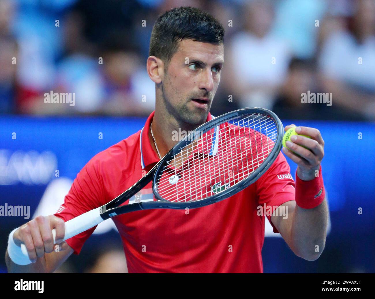 Perth, Australien. Januar 2024. Novak Djokovic aus Serbien bereitet sich darauf vor, im Viertelfinale zwischen Australien und Serbien beim United Cup 2024 in Perth, Australien, am 3. Januar 2024 zu dienen. Quelle: Zhou Dan/Xinhua/Alamy Live News Stockfoto