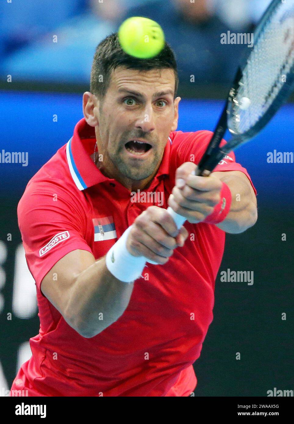 Perth, Australien. Januar 2024. Novak Djokovic aus Serbien kehrt den Ball an Alex de Minaur aus Australien zurück, während des Viertelfinales zwischen Australien und Serbien beim United Cup 2024 in Perth, Australien, am 3. Januar 2024. Quelle: Zhou Dan/Xinhua/Alamy Live News Stockfoto