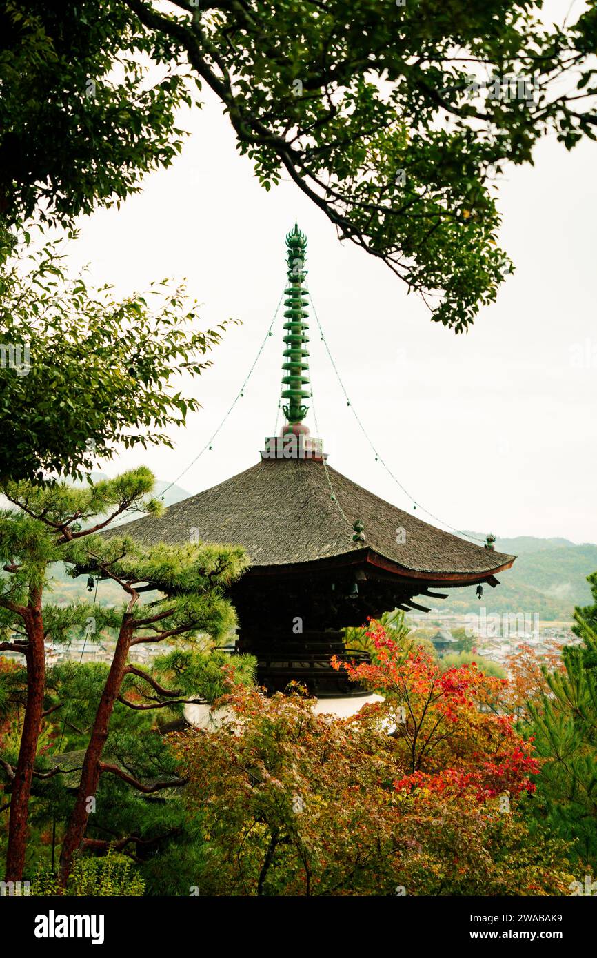 Traditioneller japanischer Architekturtempel in Byodoin, umgeben von Bäumen in Kyoto, Japan Stockfoto