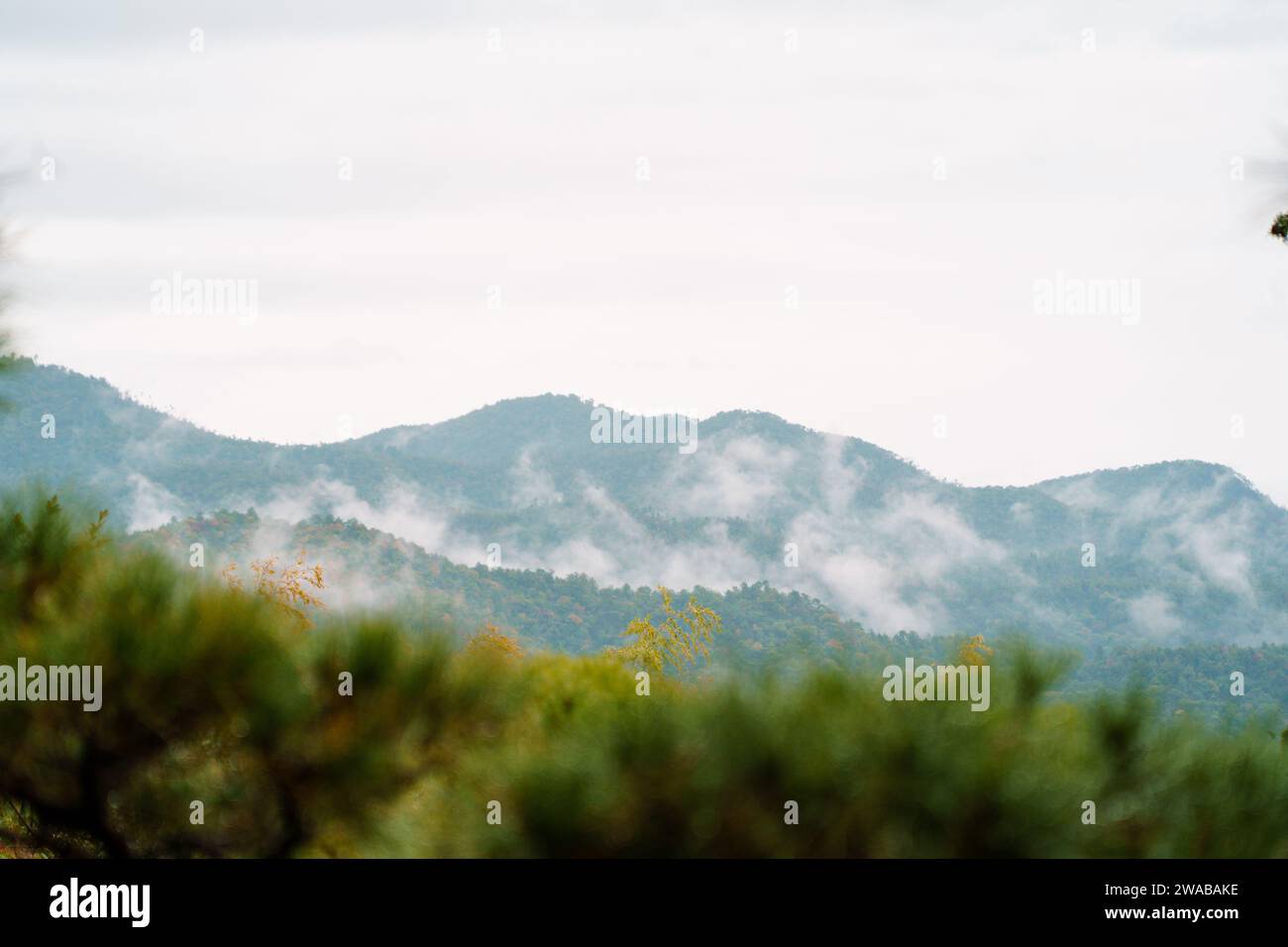 Kyoto Skyline tagsüber mit Nebel träumend Stockfoto