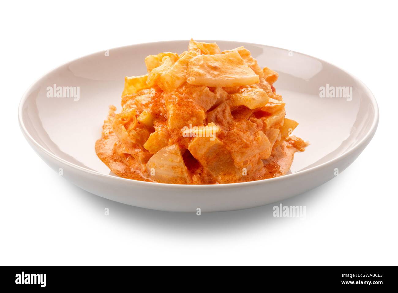 Fencheleintopf mit Tomatensauce in weißer Schale isoliert auf weiß mit Schnittpfad im Preis inbegriffen Stockfoto