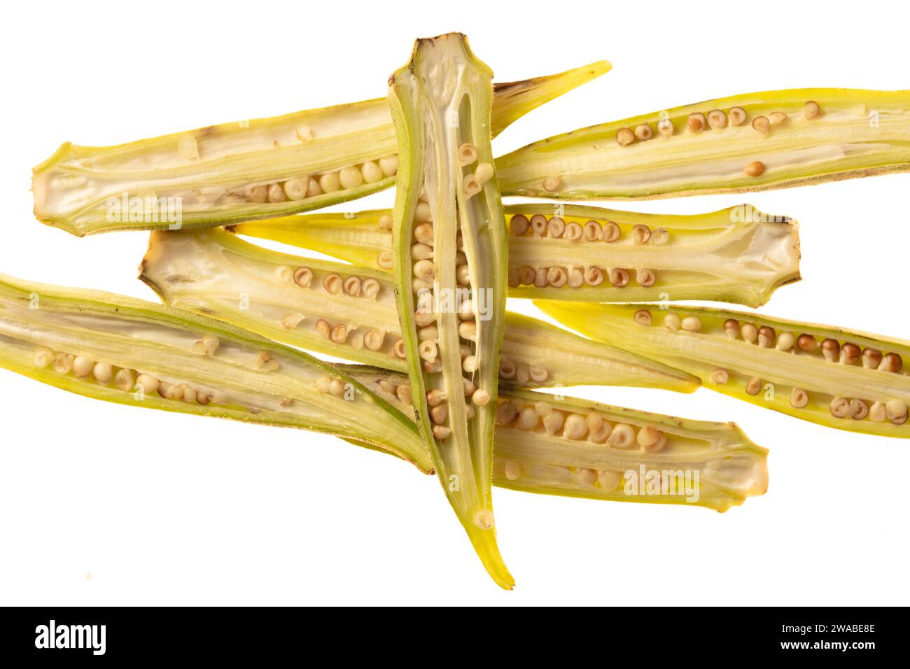 Ganz nah, Makroaufnahmen, Stillleben von Okra, Okro, Frauenfinger. Drucken Sie das Porträt exotischer Speisen Stockfoto