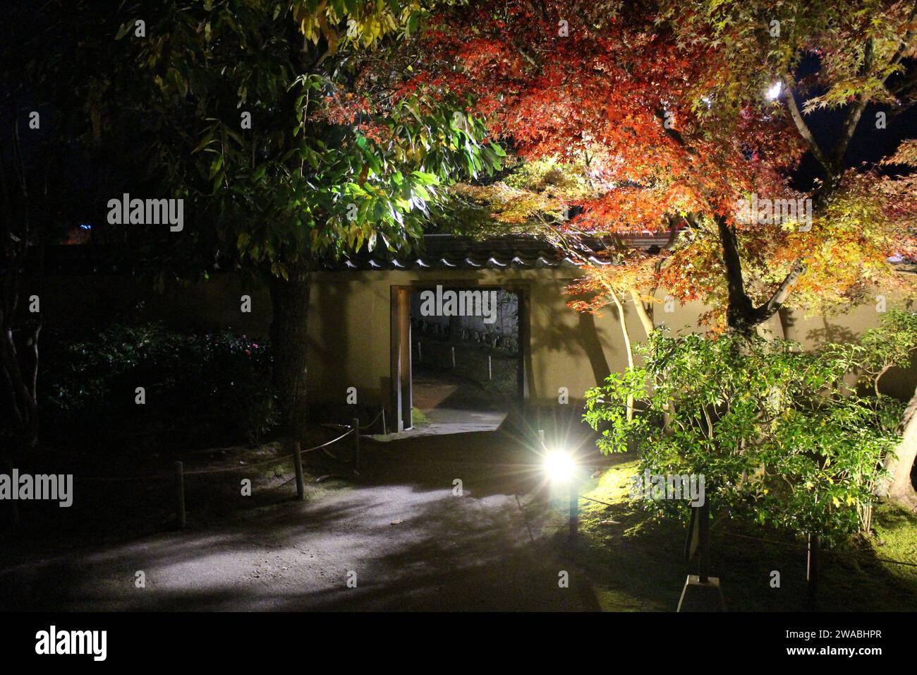 Herbstlaub und Beleuchtung im Garten des Sommers in Koko-en Garden, Himeji, Japan Stockfoto