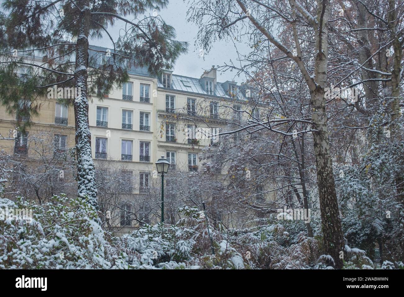 Paris, Frankreich, 2021. Schnee fällt auf die Bäume auf einem Platz, mit typischen Pariser Gebäuden im Hintergrund Stockfoto