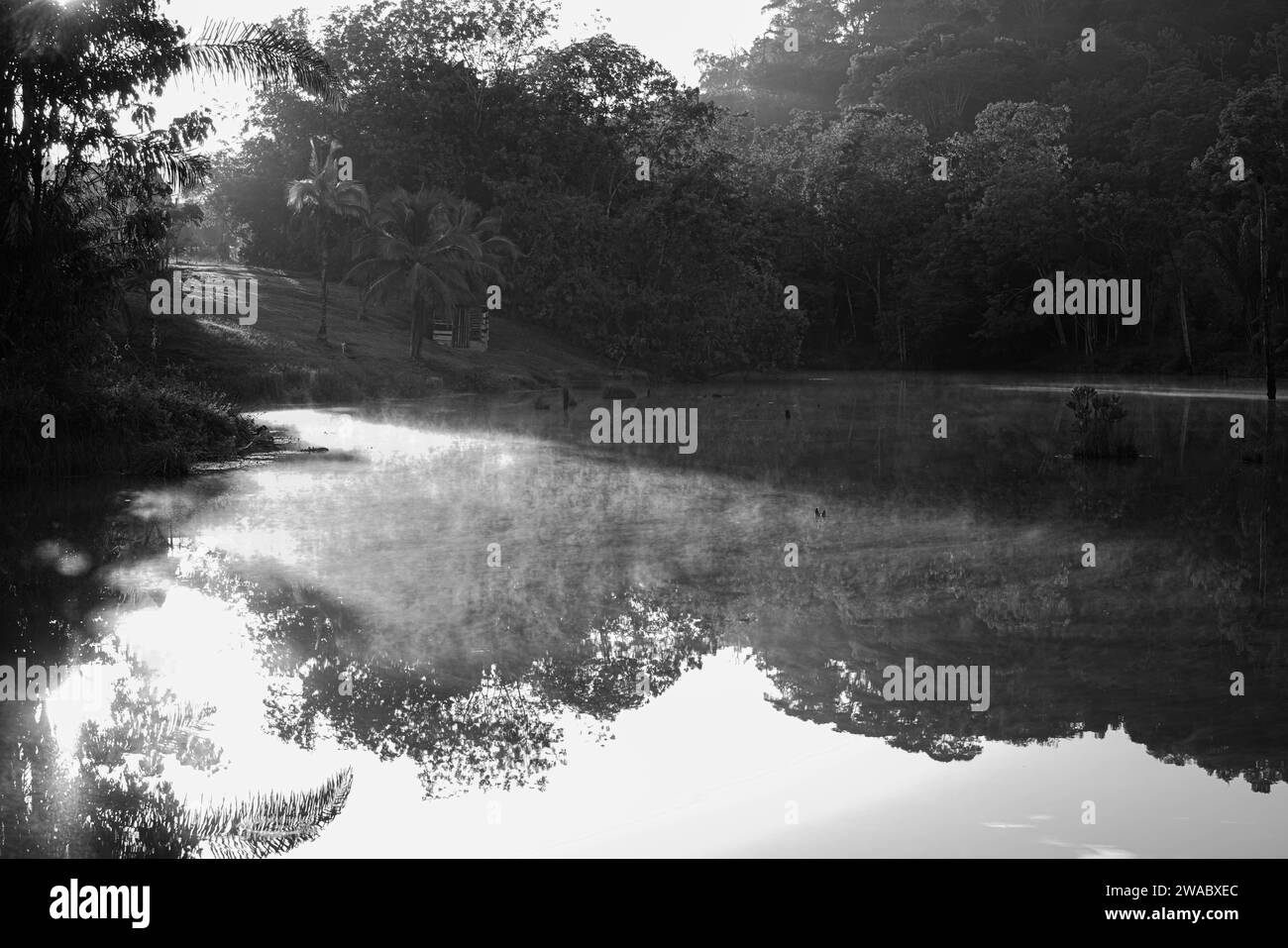 Morgenlichter und Nebel auf dem See Stockfoto