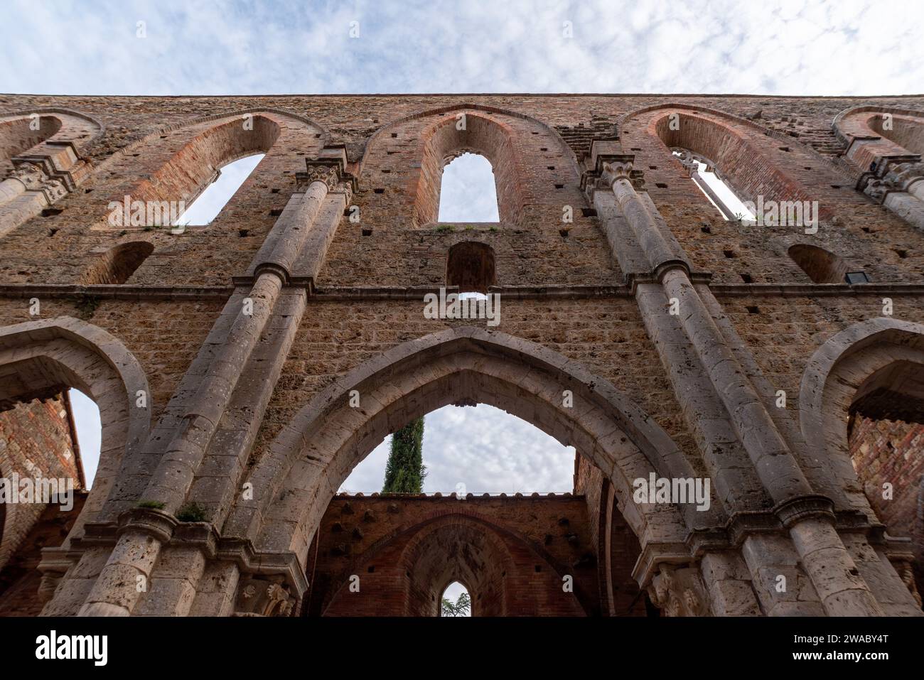 Innenwand des Kirchenschiffs der ruinierten und verlassenen Zisterzienserabtei San Galgano in der Toskana, Italien Stockfoto