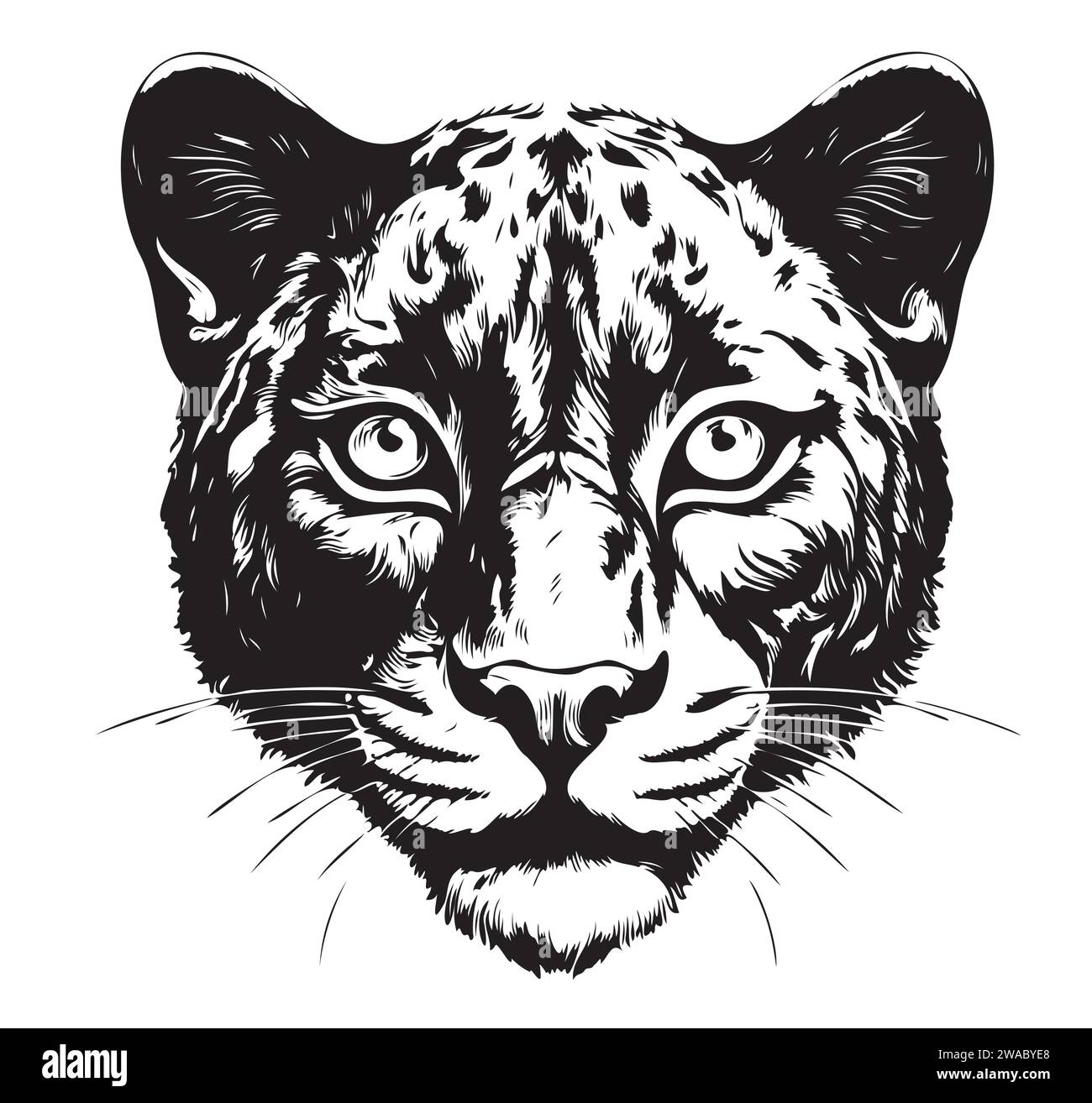 Panther Junges Porträt handgezeichnet Skizze Vektor-Illustration, wilde Tiere Stock Vektor