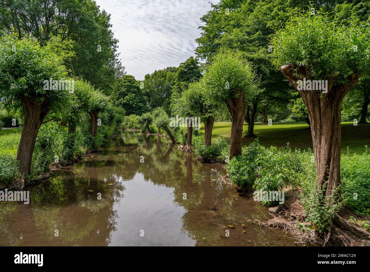 Der Schlosspark in Moers am Niederrhein, NRW Stockfoto