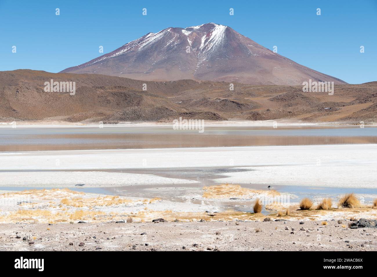 Reserva de Fauna y Flora Eduardo Avaroa, Bolivien Stockfoto
