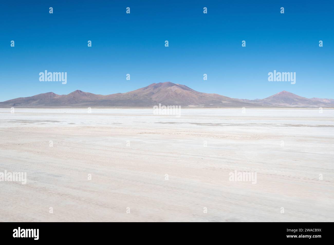 Salar de Chiguana en Bolivien Stockfoto