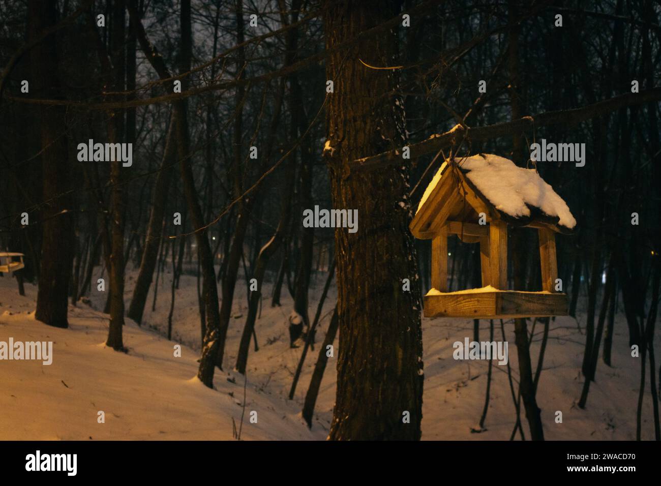 Vogelfutter im verschneiten Wald. Holzvogelhaus im Winterpark am Abend. Tierpflegekonzept. Handgefertigte Vogelfuttermittel im Schnee auf dem Baum. Stockfoto