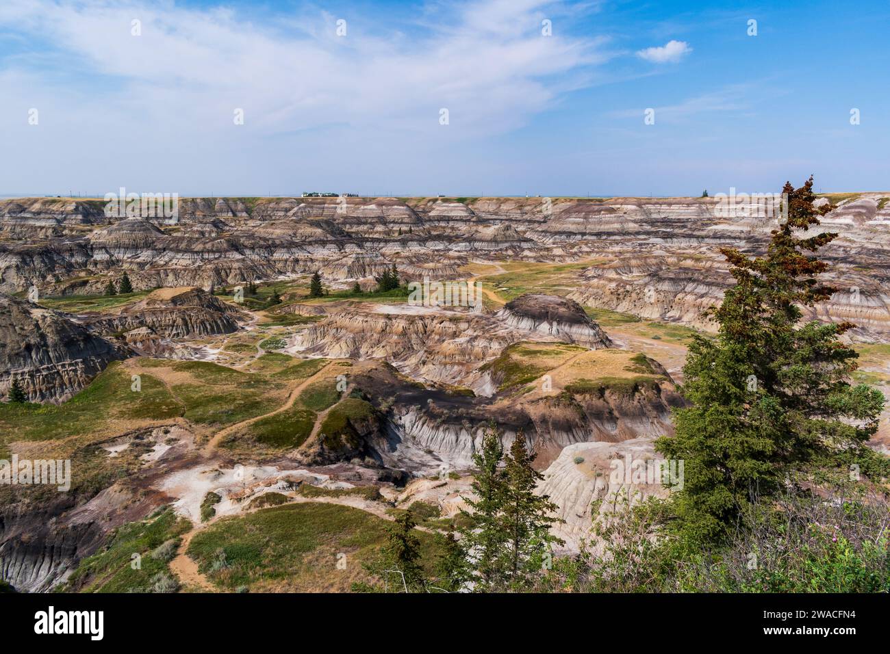 Farbenfrohe Horseshoe Canyon Badlands, Drumheller, Alberta, Kanada Stockfoto