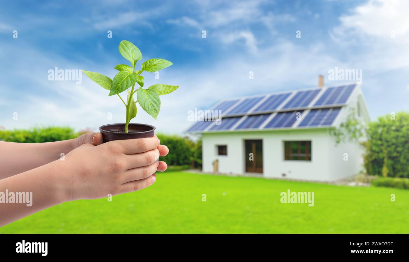 Sämling in einem Topf in Händen. Solarpaneele zu Hause mit grünem Hof im Hintergrund, die umweltfreundliche Entscheidungen fördern und den CO2-Fußabdruck reduzieren Stockfoto