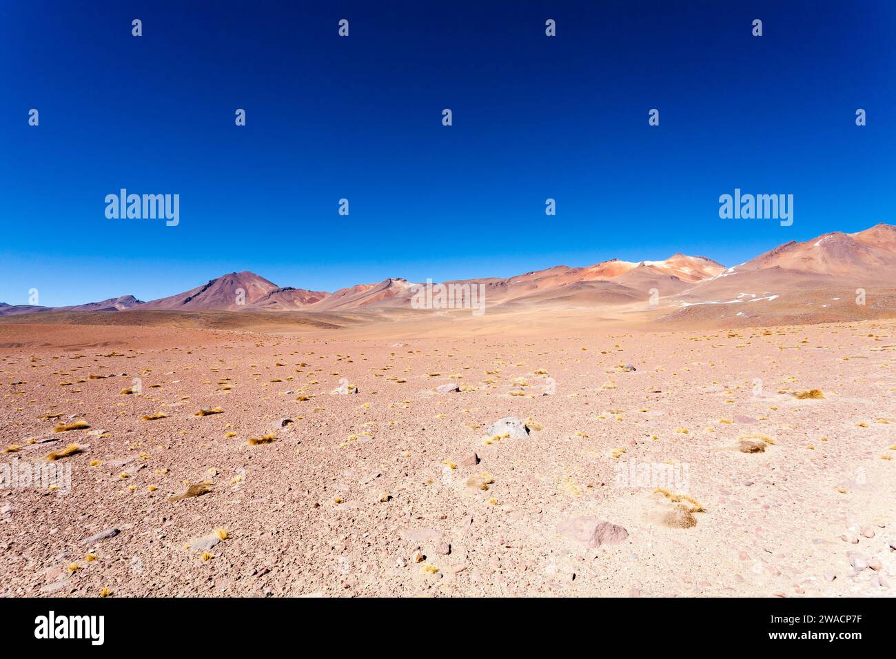Bolivianischen Landschaft, Salvador Dali Desert View. Schöne Bolivien Stockfoto