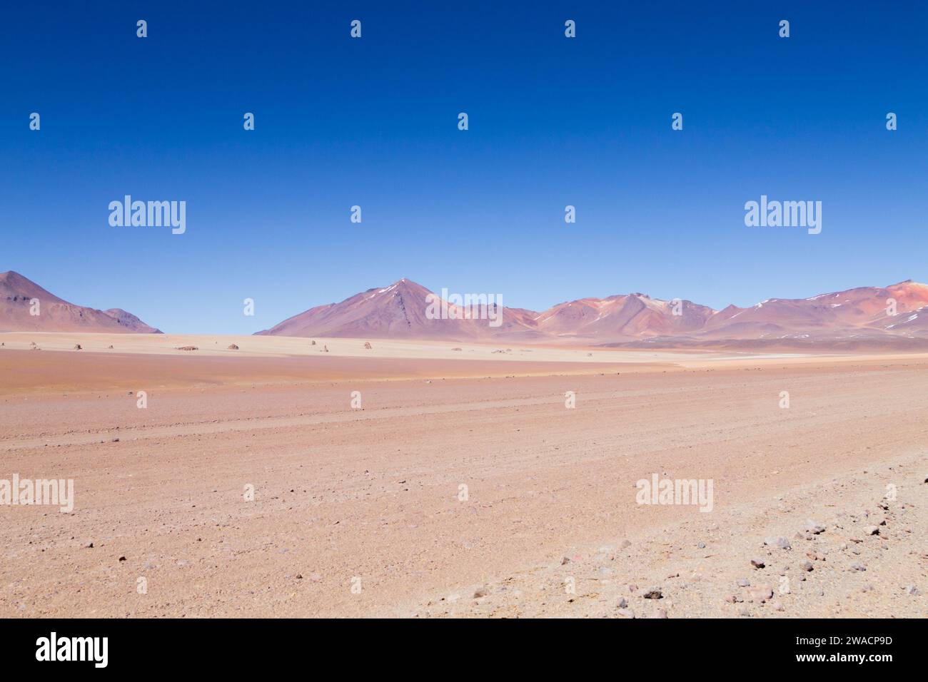 Bolivianischen Landschaft, Salvador Dali Desert View. Schöne Bolivien Stockfoto