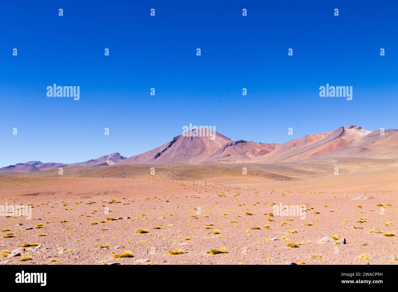 Bolivianischen Landschaft, Salvador Dali Desert View. Schöne Bolivien Stockfoto