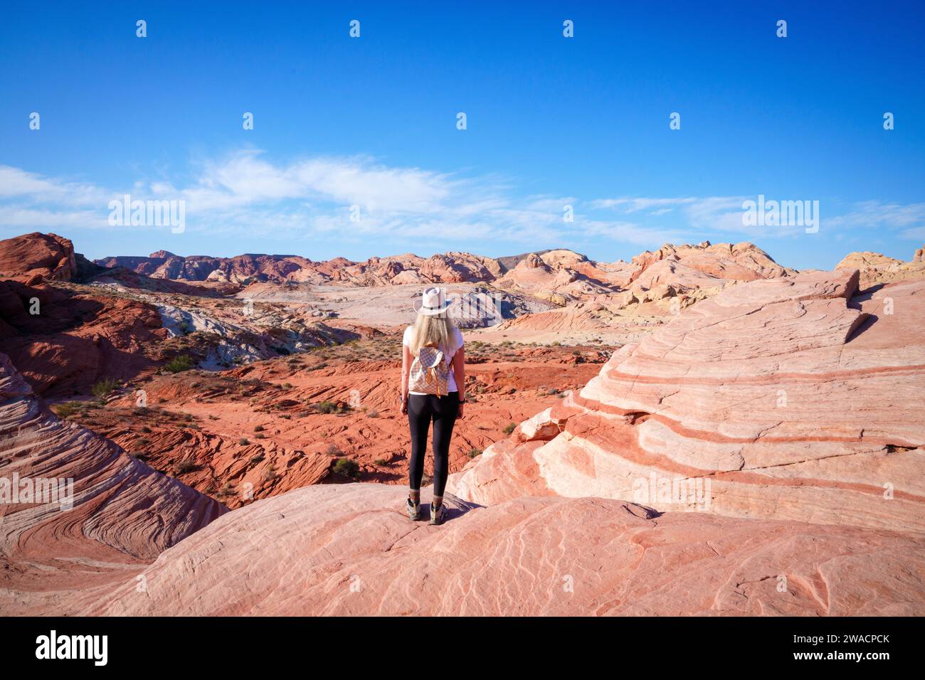 Wanderer genießen die Aussicht, Aussicht, Felsformationen, Valley of Fire State Park Las Vegas, Nevada, USA Stockfoto