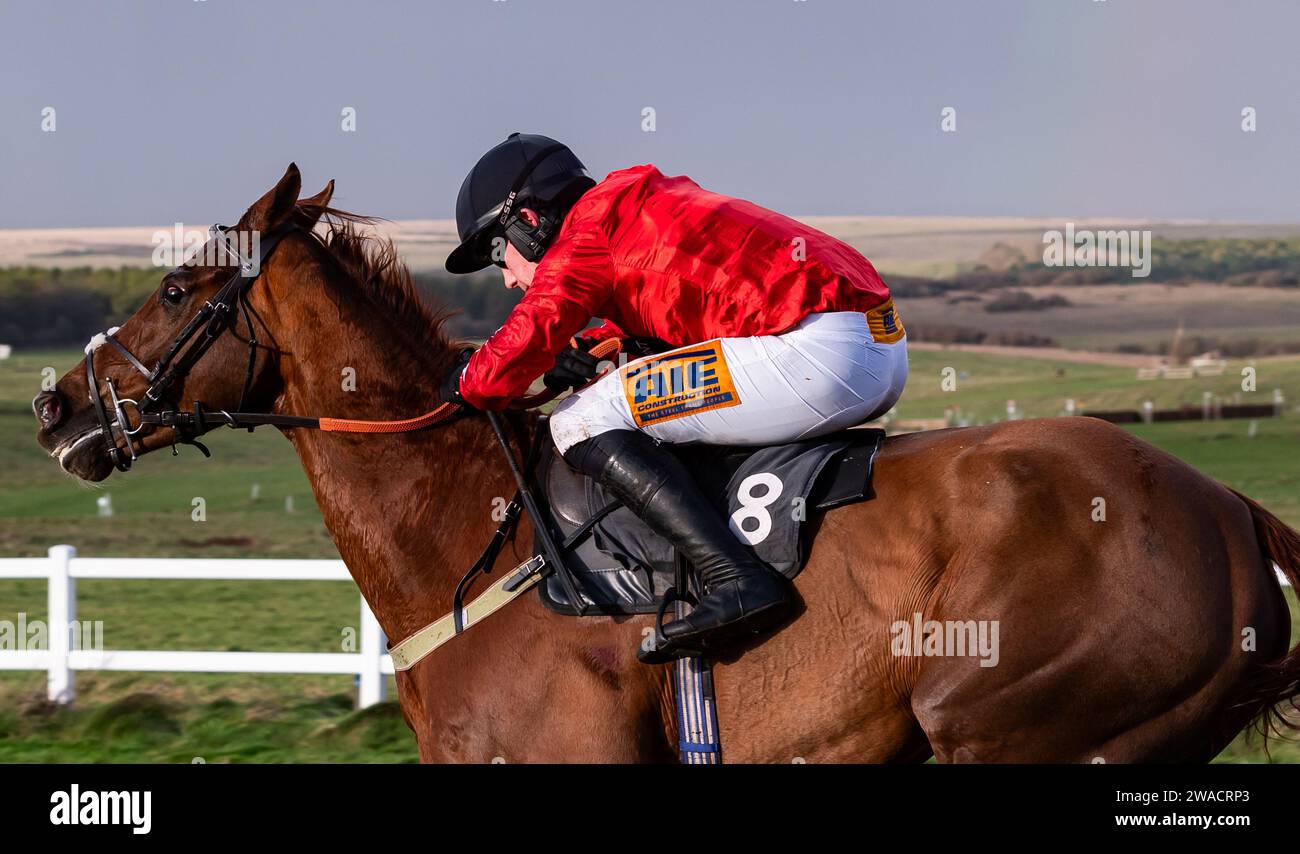 Horizon dAinay und Jockey Toby McCain-Mitchell gewinnen das Alec Jarrett Limited Restricted Race. Quelle: JTW-Pferdebilder Stockfoto