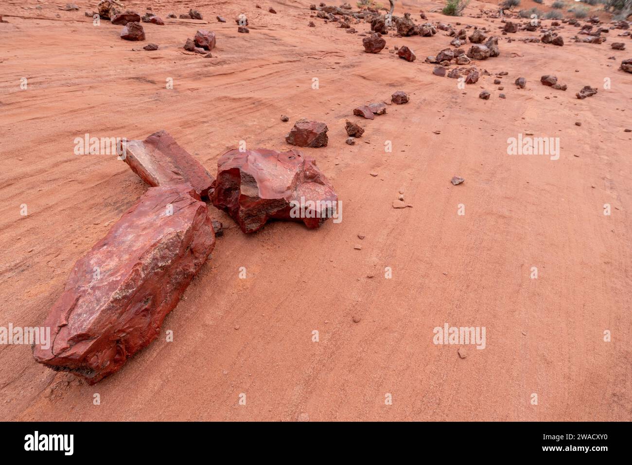 Chert-Felsen liegen auf Sandstein, Canyonlands National Park, Utah. Stockfoto